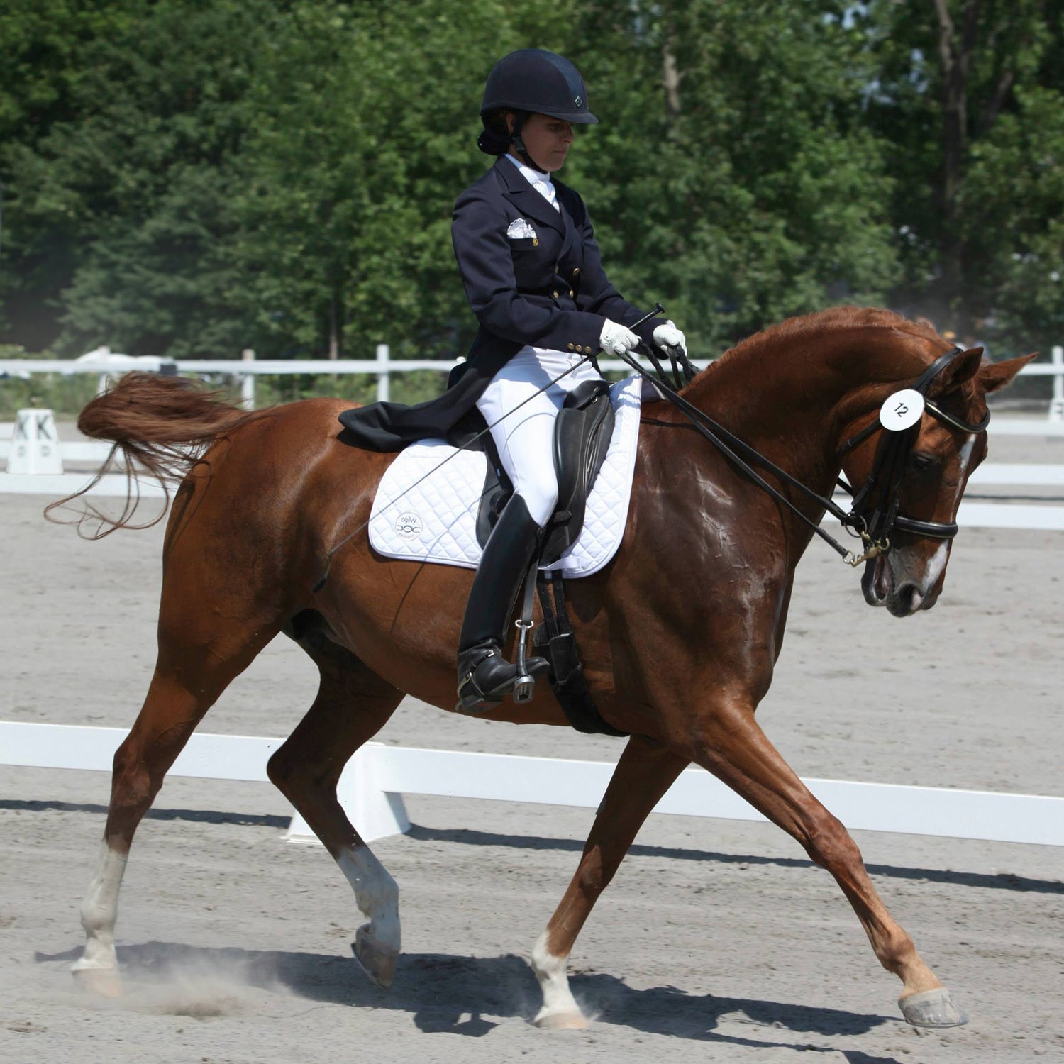 Dressage