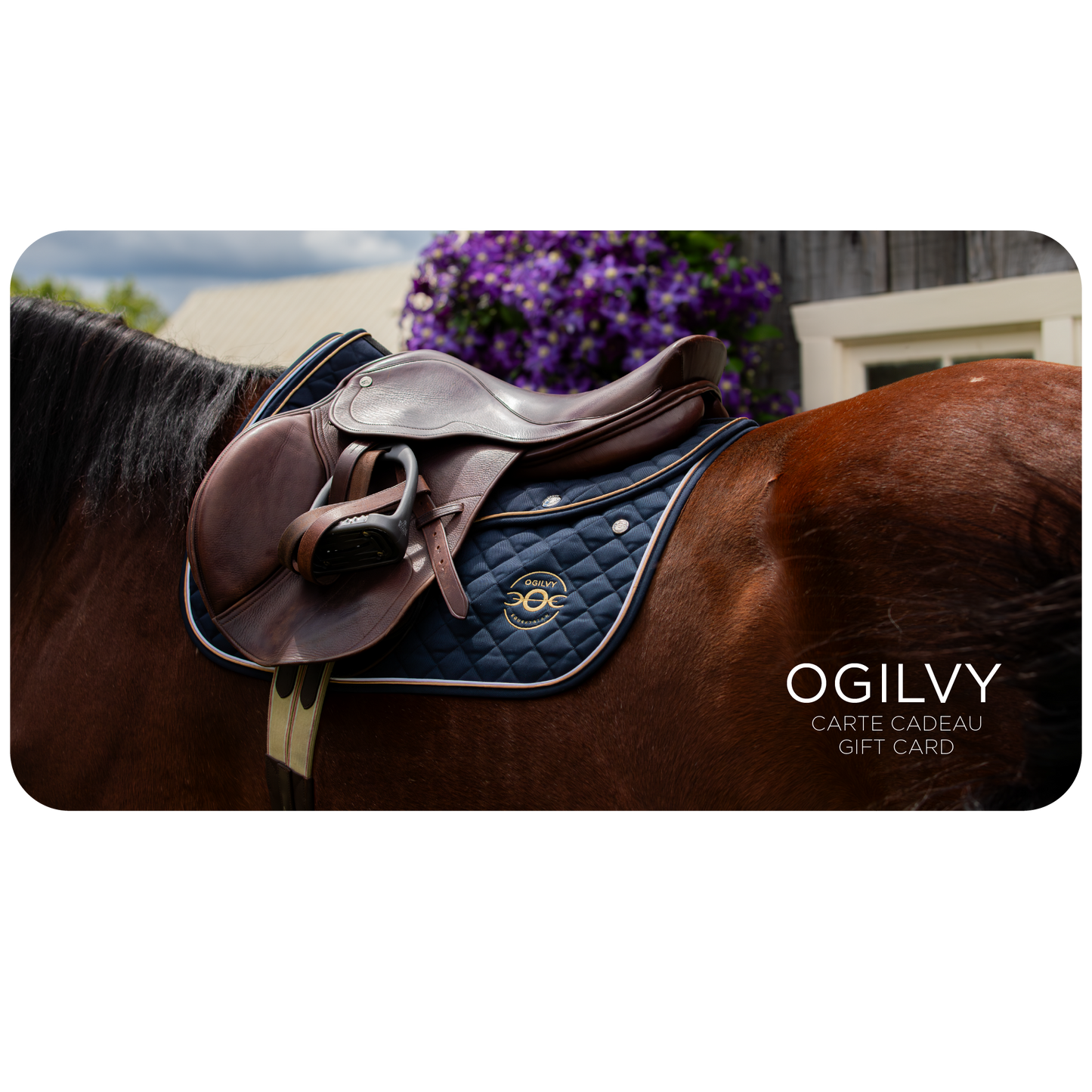 Carte-cadeau d'Équestre Ogilvy