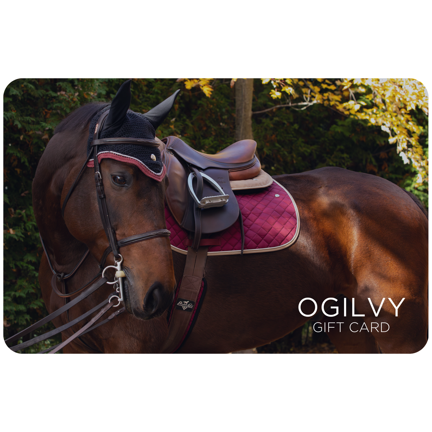 Ogilvy Equestrian Gift Card