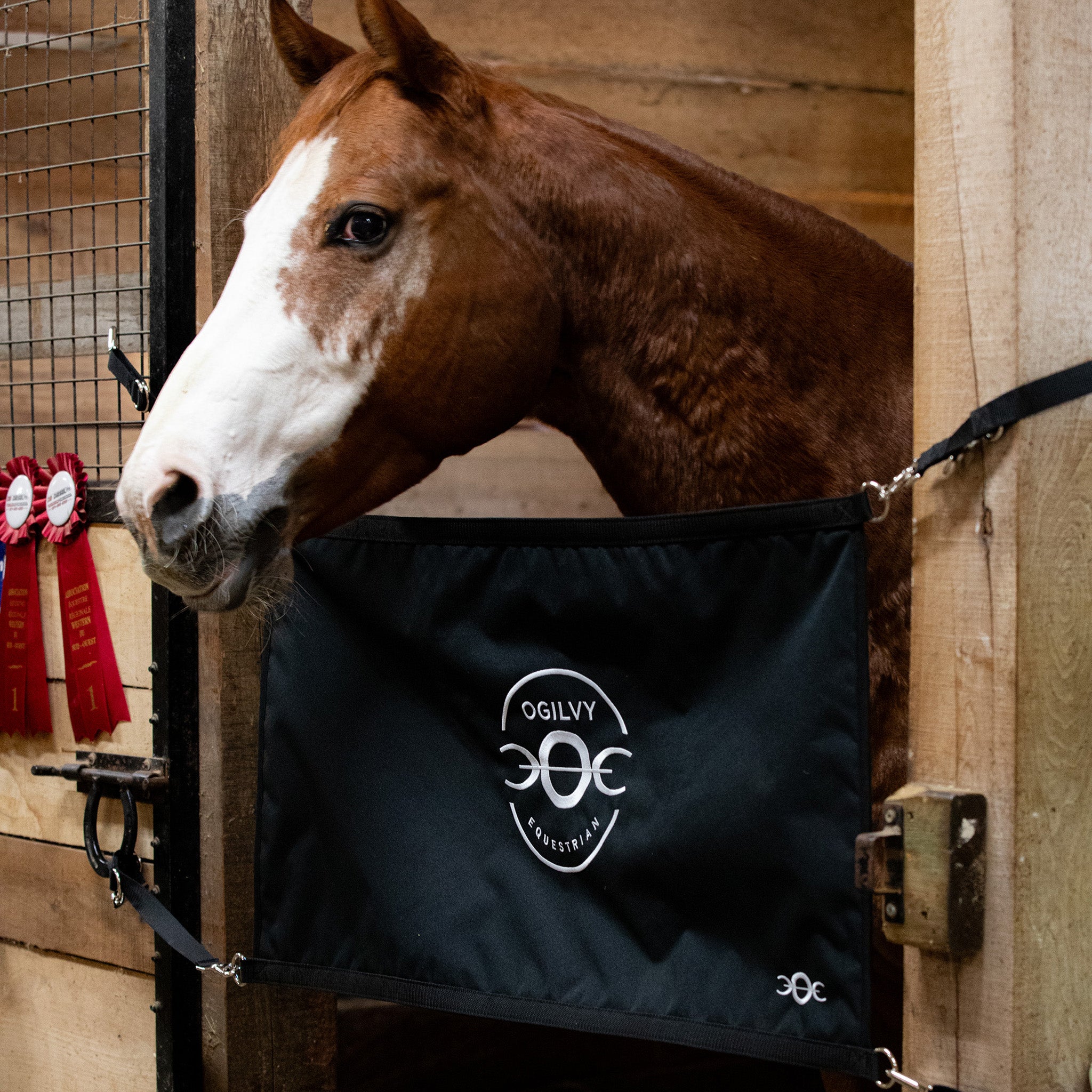 Stall Guard – Ogilvy Equestrian